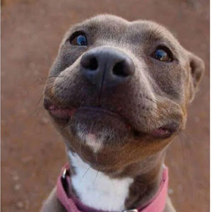 Meet your Posher, Rhealyn